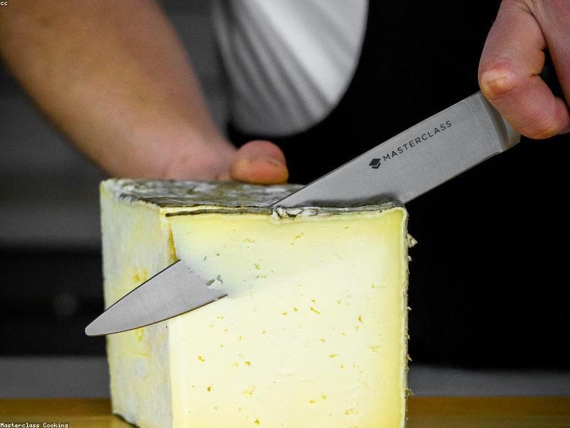 Victorinox Fibrox Review – The Best Budget Chef's Knife