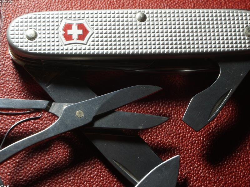 The 100 Dollar EDC Sweet Spot — Why Mid-Range Knives Are the Smartest Buy