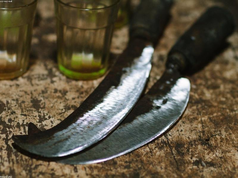 How to Sharpen Serrated Knives