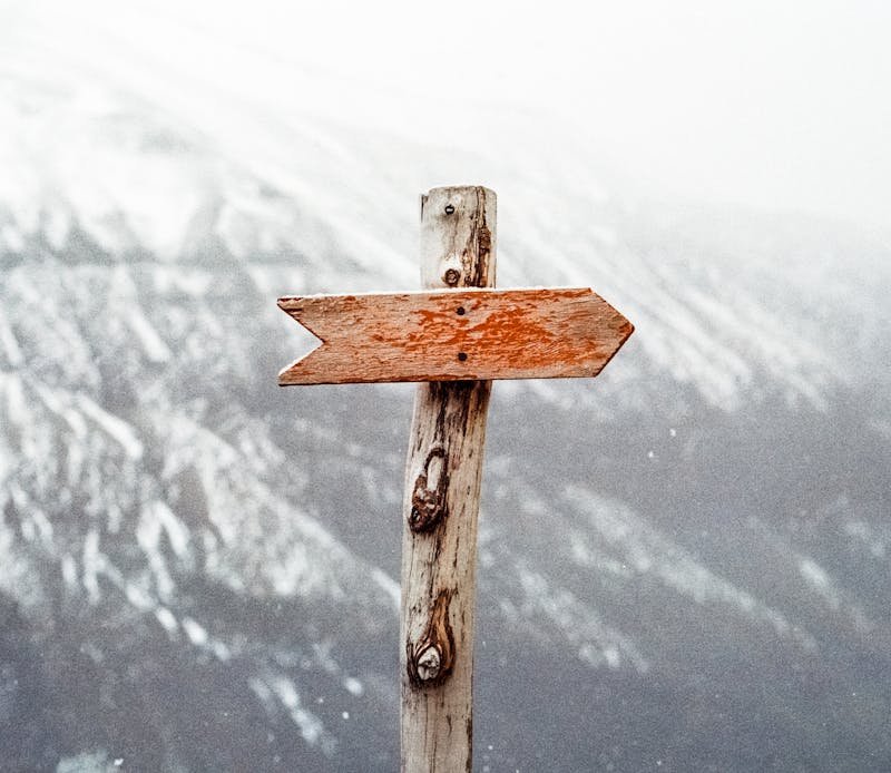 Pexels Photo 66100